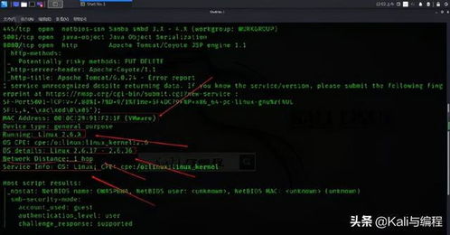 網(wǎng)絡(luò)安全工程師演示 白帽黑客如何用nmap探測(cè)計(jì)算機(jī)操作系統(tǒng)類型